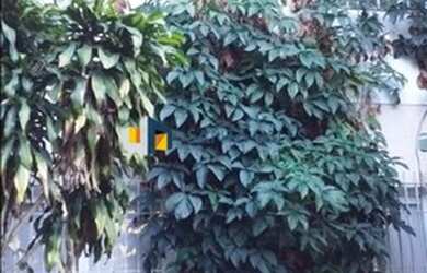 Imagem 6: Casa comercial no Brooklin