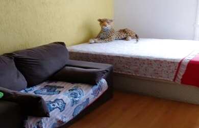 Imagem 10: JUNDIAÍ - Apartamento Padrão - CENTRO