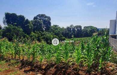 Imagem 3: Terreno à venda, 570 m² por R$ 175.000,00 - Travessão - Dois Irmãos/RS