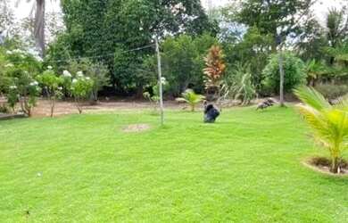 Imagem 3: Oportunidade de Fazenda na Região de Santa Terezinha