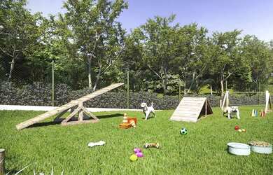 Imagem 13: Apartamento - Almirante Tamandaré PR