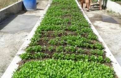 Imagem 6: Lote no Fazenda Real Perto do Lago - pra vender