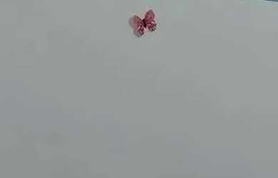 Imagem 13: Apartamento em Areia Branca, Apartamento em Santos, Apartamento com 2...