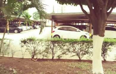 Imagem 13: APARTAMENTO - TATUAPÉ - SP