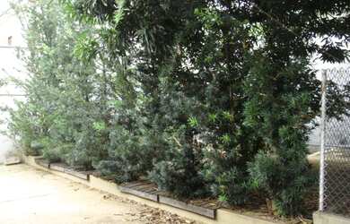 Imagem 4: São José do Rio Preto - Casa Padrão - Jardim Residencial Vetorasso