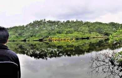 Imagem 14: Chácara com 1.187m², contando uma casa semi mobiliada de 420m² à venda, Centro Histórico