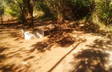 Imagem 4: Terreno Lote para Venda em Cond. Andrequicé Santa Luzia-MG