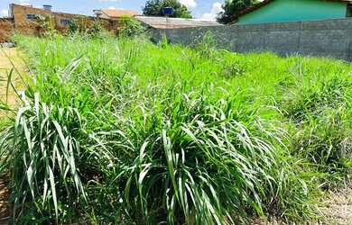 Imagem 2: Lote/Terreno para venda possui 410 metros quadrados