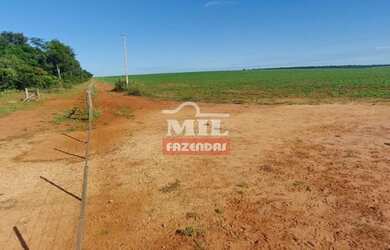 Imagem 13: Fazenda no Vale do Araguaia-MT. gt 1.598 Há. Excelente p/ Lavoura