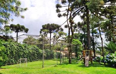 Imagem 5: Terreno à venda, 400 m² por R$ 583.000,00 - Centro - Canela/RS