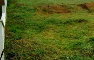 Imagem 6: Terreno à venda, 500 m² por R$ 280.000,00 - Reserva Vale Verde - Cotia/SP