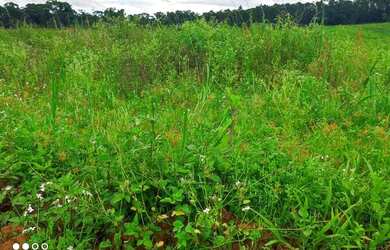 Imagem 12: Lote/Terreno para venda tem 500 metros quadrados em Jardim Lavapes das...