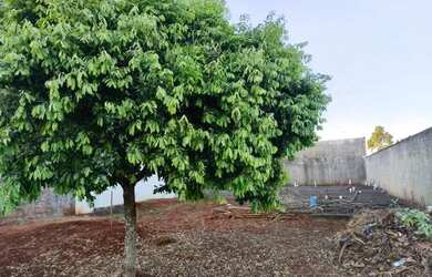 Imagem 5: Terreno 300m². 300m² de Área