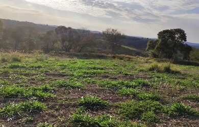 Imagem 8: Lote/Terreno para venda tem 500 metros quadrados em Jardim dos Pinheiros...