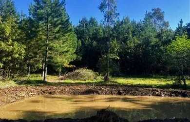 Imagem 15: Sítio Com Açude Em Condomínio Fechado. ROB 533