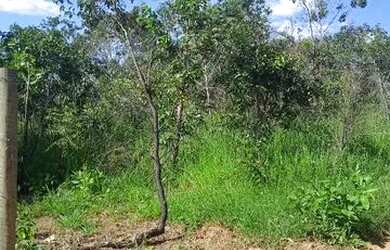 Imagem 4: Terreno em Corumbá III. 1.000m² de Área