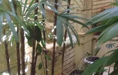 Imagem 11: Sala consultório médico