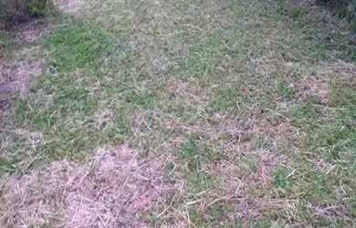 Imagem 6: Terreno em Lami. 1.440m² de Área