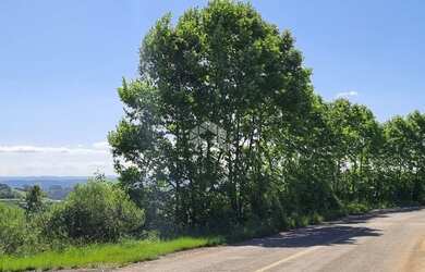 Imagem 3: Área de terra no interior de Monte Belo do Sul