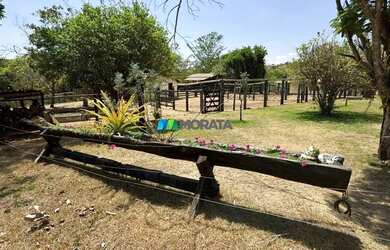 Imagem 6: FAZENDA À VENDA - 1.005 HECTARES - CURVELO MG