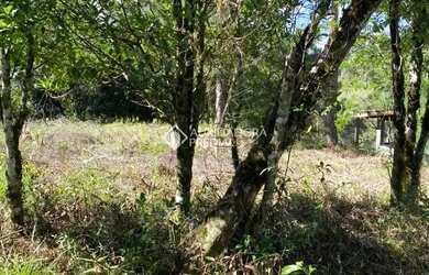 Imagem 5: Terreno de 430 m2 no Bairro Vivendas do Arvoredo