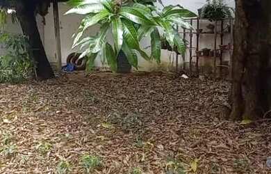 Imagem: A casa possui 3 Dormitórios, 1 Banheiro, 5 Vagas na garagem