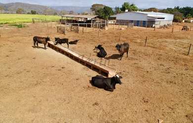 Imagem 4: Fazenda com pivô em Unaí em Minas Gerais, à venda com 125ha