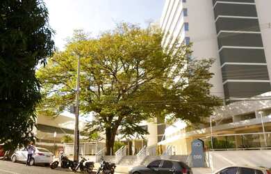 Imagem: O depósito possui 80m² de Área e está localizado em Jardim