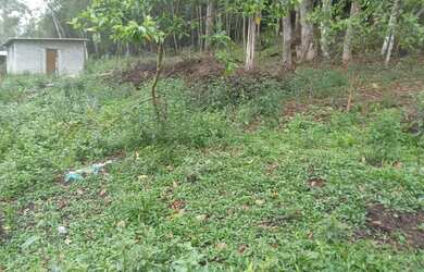 Imagem 7: Oportunidade 3 mil mts 57 mil reais