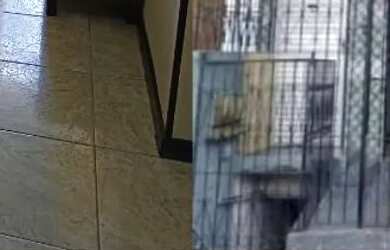 Imagem: A casa possui 4 Dormitórios, 4 Banheiros, 1 Vaga na garagem