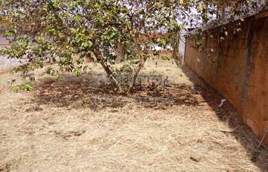 Imagem 1: São José do Rio Preto - Terreno Padrão - Boa Vista