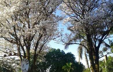 Imagem: A chácara possui 3.525m² de Área e está localizado em Guanabara