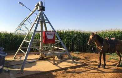 Imagem: A fazenda possui 155m² de Área e está localizado em Serra