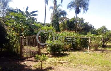 Imagem 10: Rural fazenda com 3 quartos - Bairro Zona Rural em Bela Vista de Goiás