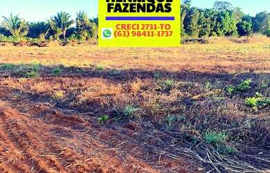 Imagem 3: Fazenda 45 km de Palmas lavoura e pecuária