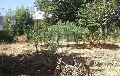 Imagem 5: Terreno com ótima localização para venda-Vila Antonio
