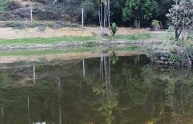 Imagem 10: Chácara à venda, 30000 m² por R$ 330.000 - Santa Teresa/ES