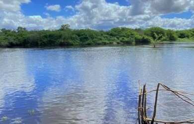 Imagem 7: Oportunidade de Fazenda na Região de Santa Terezinha