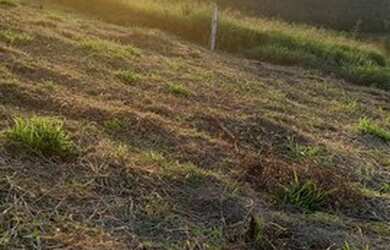 Imagem 3: Terreno plano. 600m² de Área