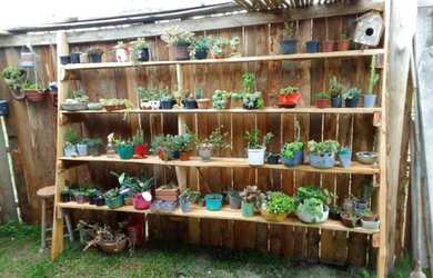 Imagem 7: sítio em Viana. Varanda