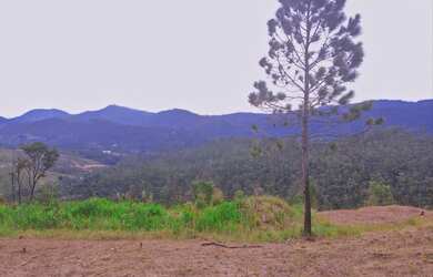 Imagem: O terreno possui 1.000m² de Área e está localizado em Centro