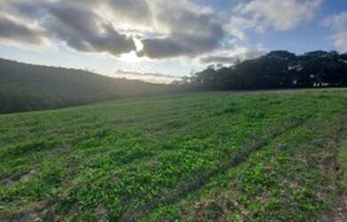 Imagem 6: Lote/Terreno para venda com 600 metros quadrados em Jardim Helena - Carapicuíba...