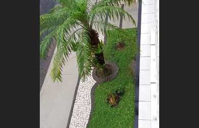 Imagem 1: SAO JOSE DO RIO PRETO - Casa Padrão - ROSEIRAL