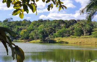 Imagem: O terreno possui 1.000m² de Área, Piscina e está localizado
