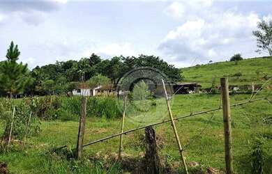 Imagem 7: Área à venda, 5324 m² por R$ 450.000,00 - Vila Hortência - Cotia/SP