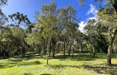Imagem: O terreno está localizado em Urubici, SC à venda por R$450.000