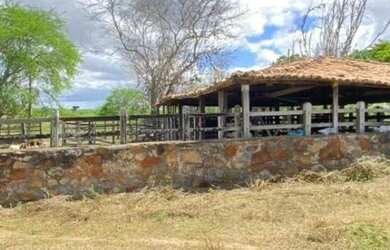 Imagem 9: Oportunidade de Fazenda na Região de Santa Terezinha