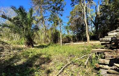 Imagem: A fazenda possui 1400m² de Área e está localizado em Fazenda