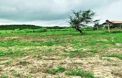 Imagem 7: Fazenda de 60 Tarefas - Lagarto