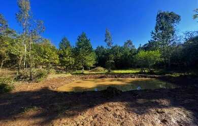 Imagem 9: Sítio Com Açude Em Condomínio Fechado. ROB 533